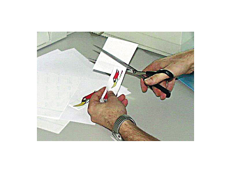 ; Drucker-Etiketten Drucker-Etiketten Drucker-Etiketten Drucker-Etiketten 